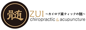 ZUI Chiropractic and Acupuncture logo with Asian characters in a gold circle and modern typography on a dark background